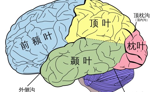 济诺雷贝拉唑肠溶片说明书网—知名的济诺雷贝拉唑钠肠溶片说明书网站,分享济诺的雷贝拉唑为啥贵知识